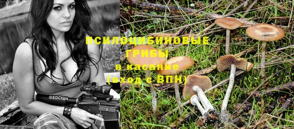синтетический гашиш Алексеевка
