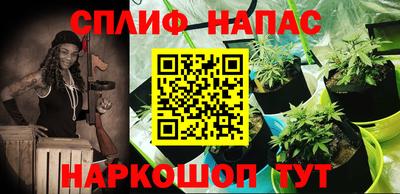 apvp Коммунар